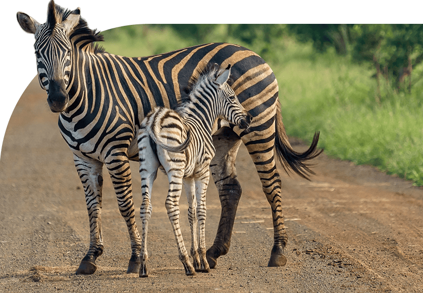 Holidays in Kenya