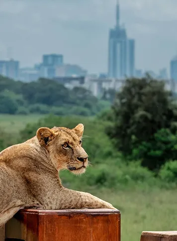 Nairobi