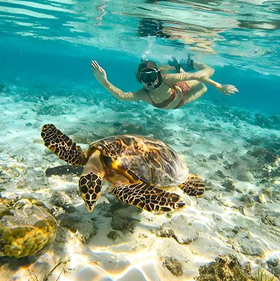 Cocos (Keeling) Islands
