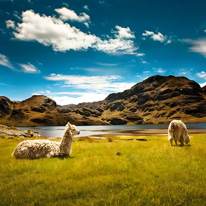Ecuador