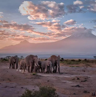 Kenya