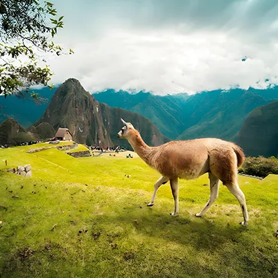 Peru