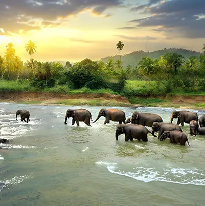 Sri Lanka