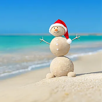 Christmas Holidays