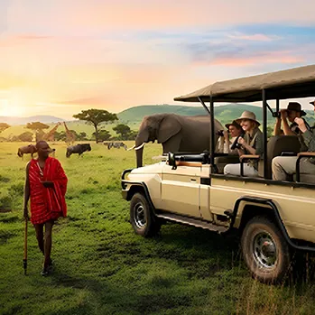Safari Packages